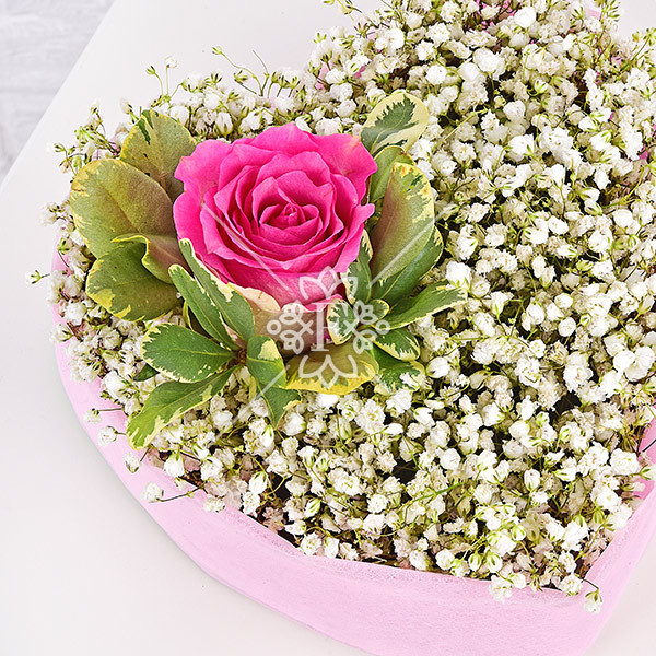 Романтика - сердце с гипсофилой и розовыми розами